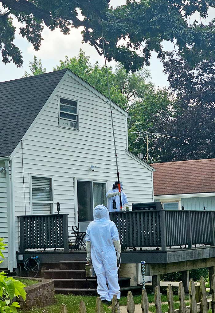Two Final Call techs in bee suits removing a hornet nest from a tall tree